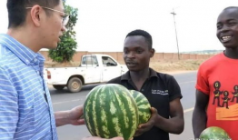 网红吃瓜黑科爆料视频,视频背后的惊人真相