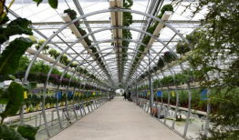 吃瓜群爆料大棚视频大全,吃瓜群爆料视频大全背后的秘密