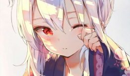 照片动漫,动漫照片中的奇幻世界